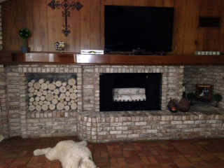 Decorative Birch Logs in Fireplace and Wood Pile