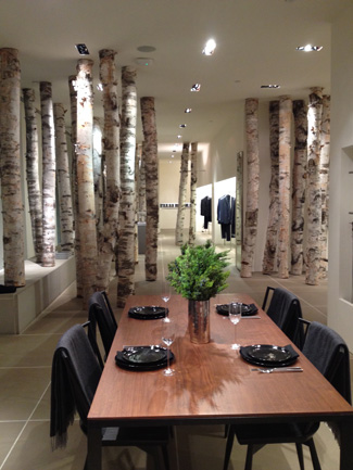 Birch logs in Calvin Klein store