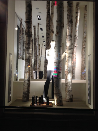 Calvin Klein window display using birch logs